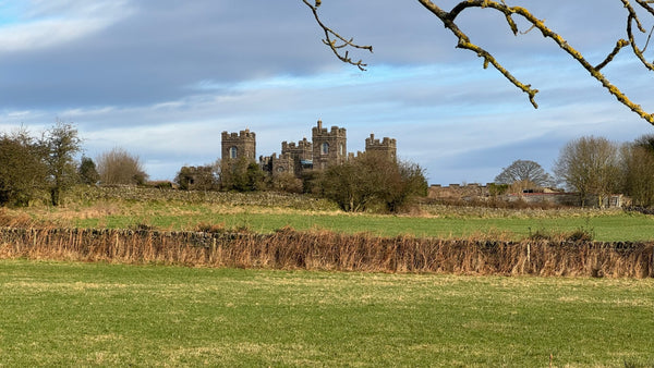 Riber Castle